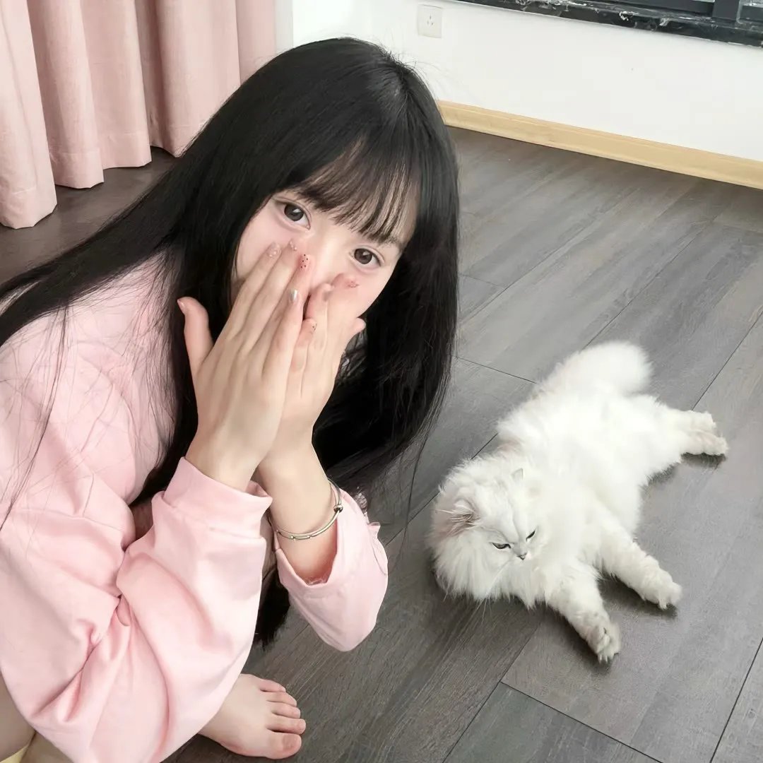 花园里的萤火虫海报